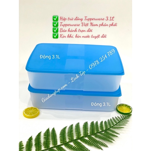 Hộp trữ đông 3.1L nhựa nguyên sinh bảo hành trọn đời