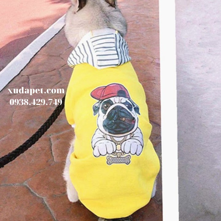 ÁO HOODIE VÀNG HÌNH CHÓ PUG NÓN SỌC CHO CHÓ MÈO XUDAPET - SP000597