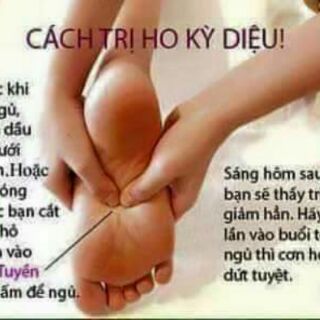 DẦU TRÀM