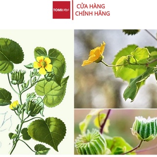 Cây cối xay khô Sasuke 1kg tốt cho người xương khớp