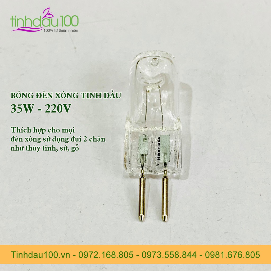 Combo 3 bóng đèn xông tinh dầu halogen 35w 220v thích hợp cho đèn sứ Bát Tràng, gỗ, thủy tinh Tinh Dầu 100 Shop