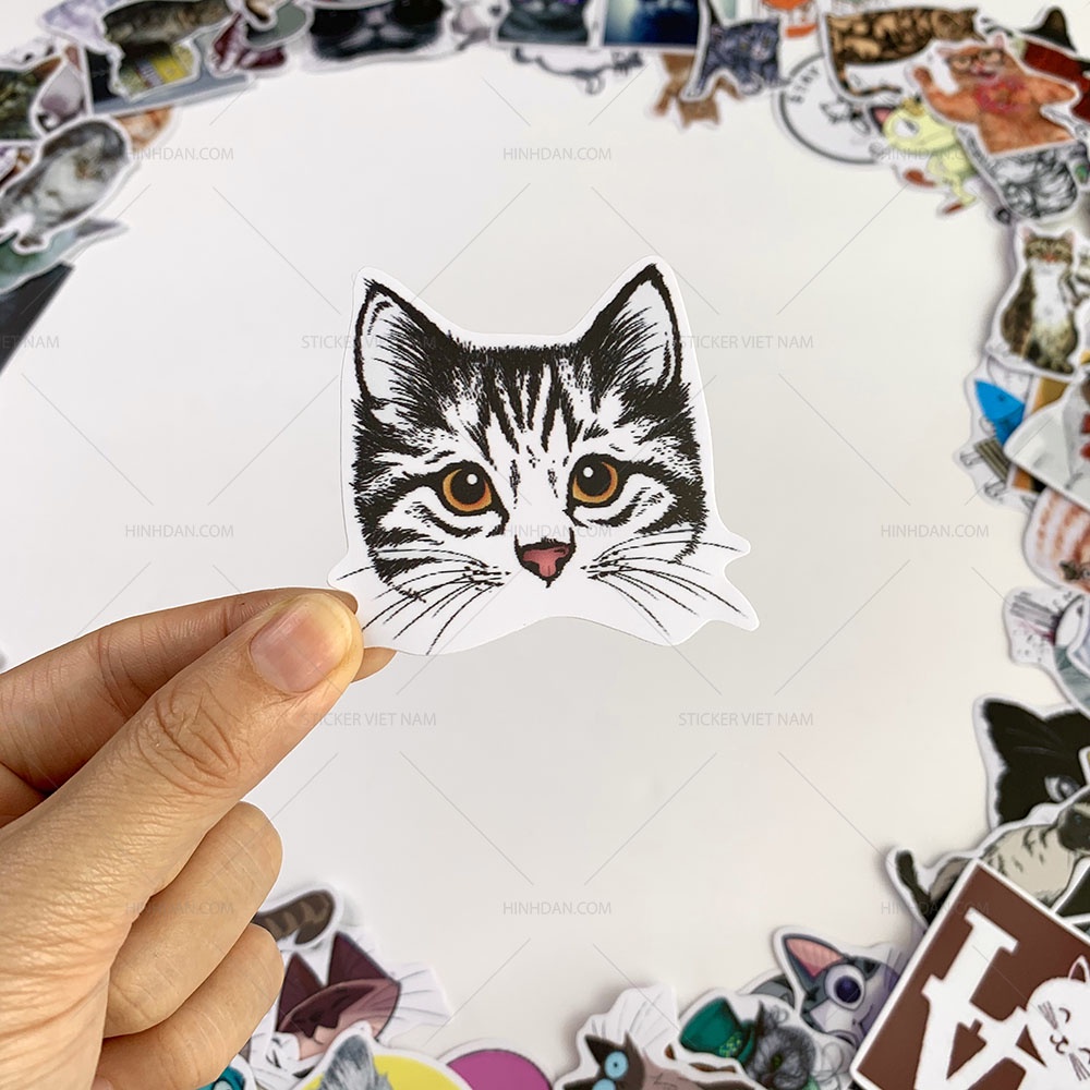 Sticker MÈO - CAT chống nước decal hình dán trang trí xe, laptop, nón bảo hiểm, đàn guitar, máy tính