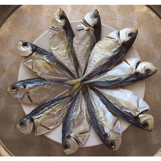 Khô cá ét loại ngon nhà làm, đặc sản Phan Thiết, NGỌC HIỂN FOODY