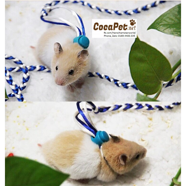 [Mã PET50K giảm Giảm 10% - Tối đa 50K đơn từ 250K] Dây dắt hamster