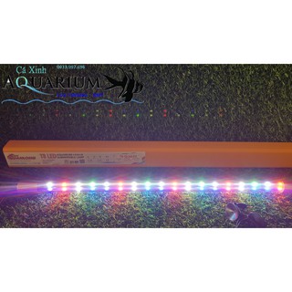 Đèn Led siêu đẹp QuanLong cho hồ 80CM - 1m - 3 chế độ màu tùy chỉnh