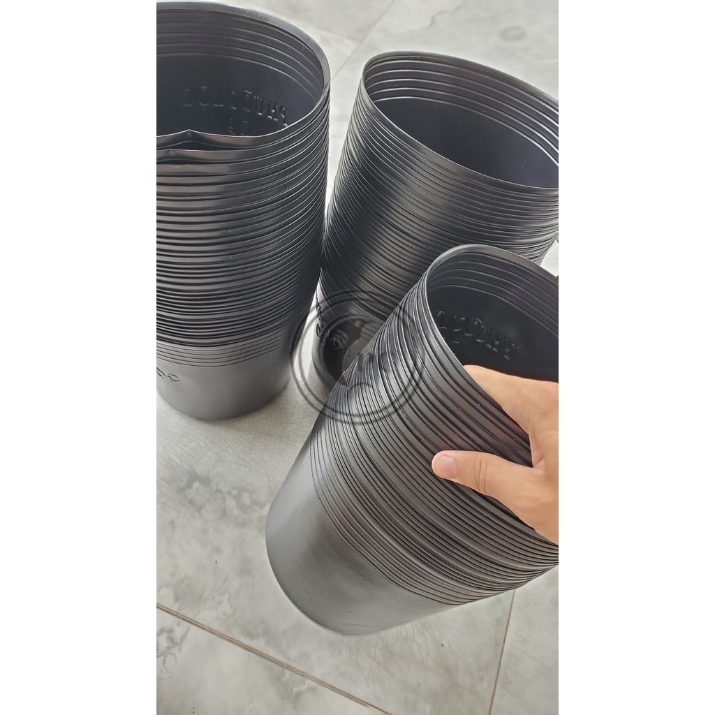 Chậu nhựa nuôi cá trồng sen