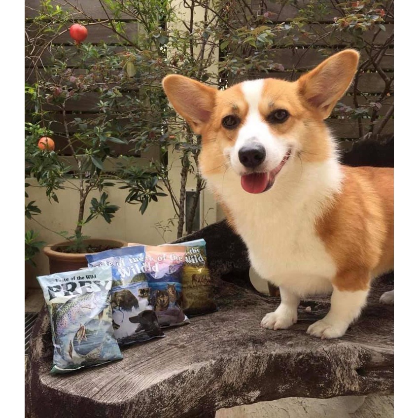 Thức Ăn Cho Chó Corgi, Taste Of The Wild Bao 2kg - Thức Ăn Cho Chó,  Vị Cá Hồi Xông Khói, Rau Củ Quả