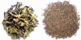 Nụ vối sạch ( nụ khô 1kg)
