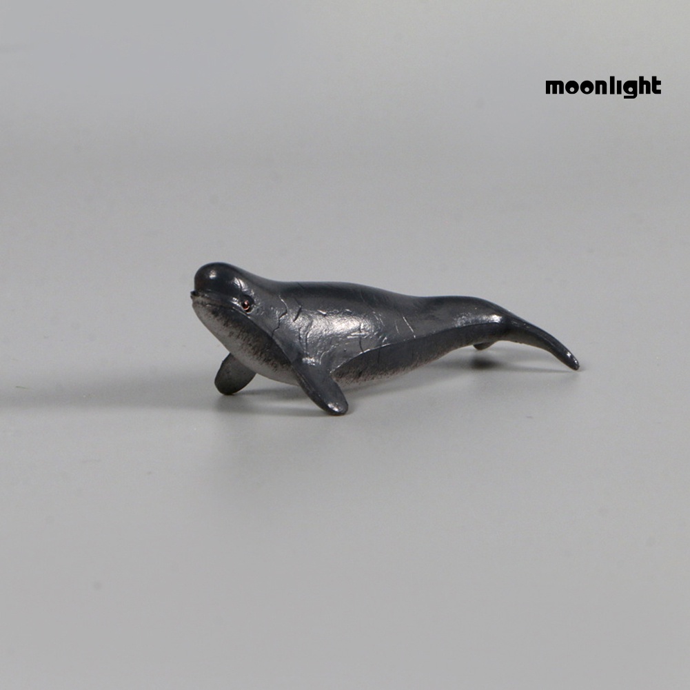 Bộ 12 mô hình cá voi / cá mập / cá voi mini bằng pvc độc đáo cho bé