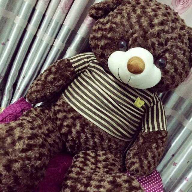 Gấu teddy 1 mét - Made in Việt Nam