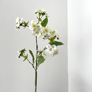 Hoa Păng Xê - Hoa Lụa Cao Cấp Decor Trang Trí