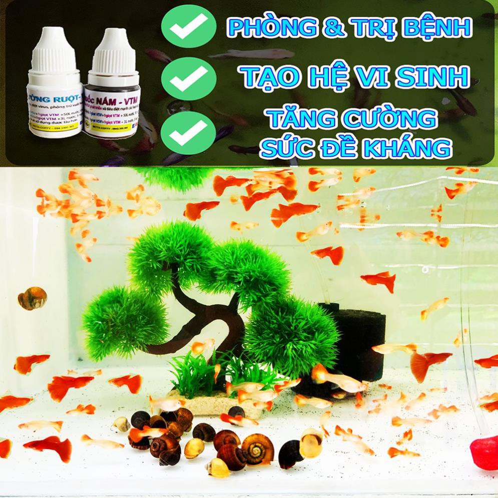 Lồng Đẻ Vải Nhỏ Lớn cho cá cảnh - Cá Bảy Màu, Guppy BETTA COFFY