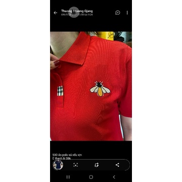 Áo polo nữ siêu xịn bigsize