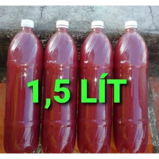 Vi khuẩn quang hợp PSB