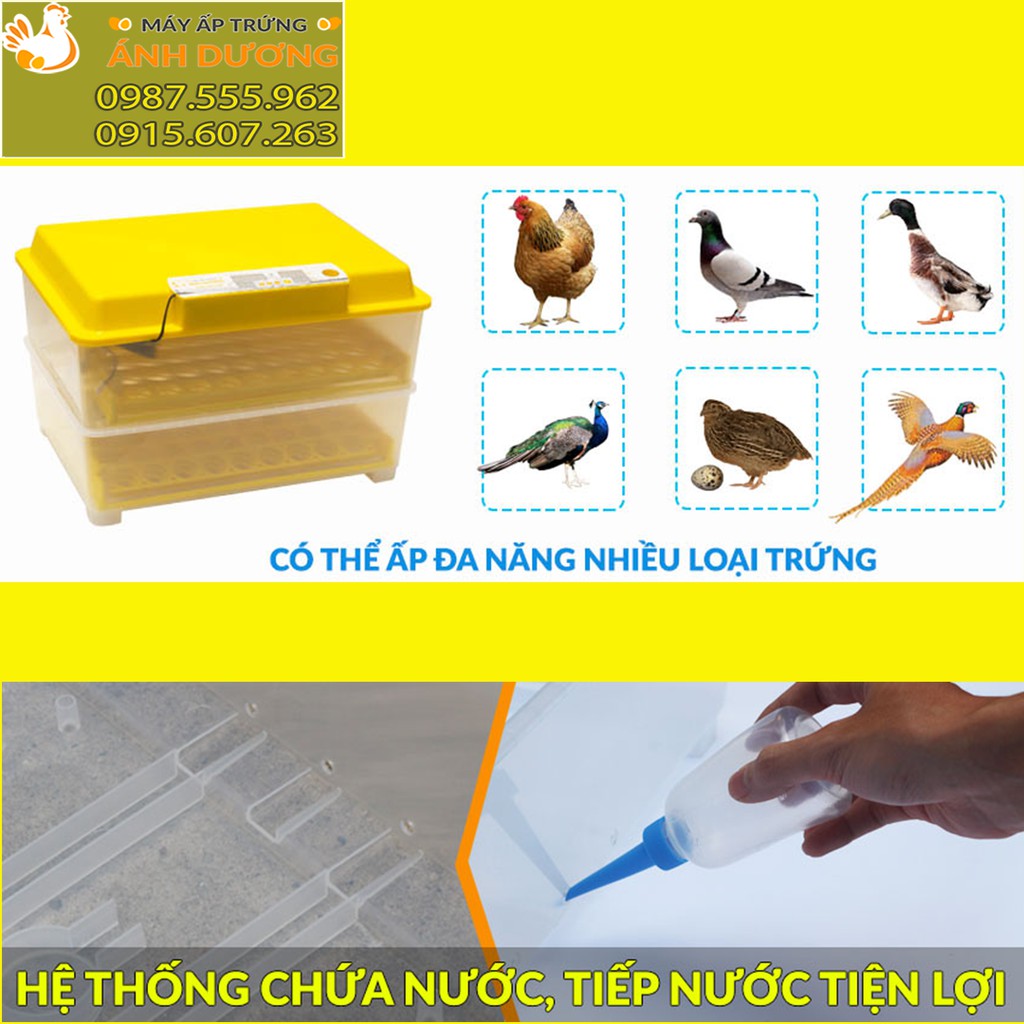 Máy ấp trứng Mini Ánh Dương A100 - 54Trứng Khay Nhựa - Lắp Ráp Sẵn + Tặng kèm gói úm, Bình châm nước
