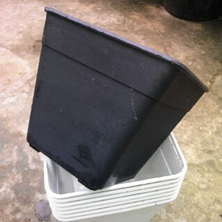 Chậu vuông 14cmx cao12cm