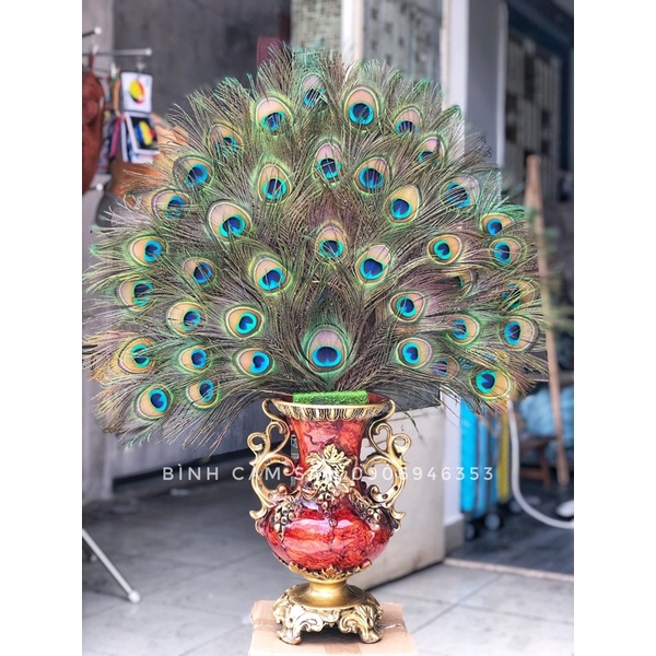 Bình cắm lông công Lộc phát cup nữ hoàng composite