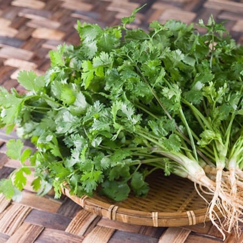 Hạt giống rau mùi