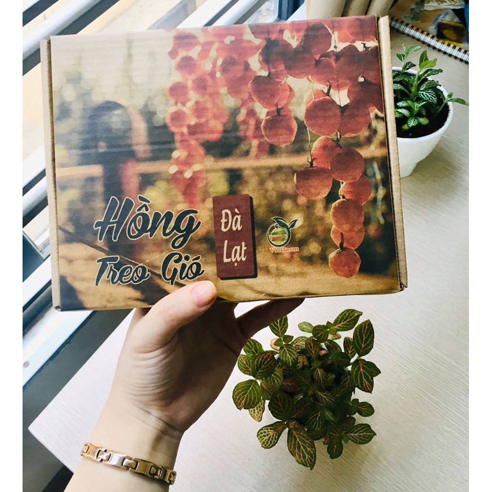 Hồng Treo Gió Đà Lạt Vietfarm