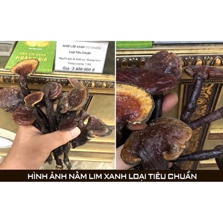 [Gói dùng thử] AlPhamilk Nano Curcumin Nấm lim xanh
