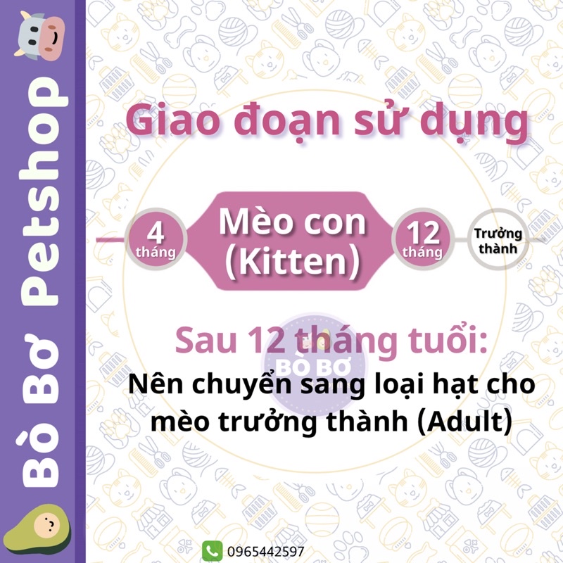 Hạt thức ăn cho mèo con | ROYAL CANIN Kitten 36 | 2kg