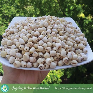 [1kg] Hạt sen bở loại 1 - Thơm ngon, bổ dưỡng