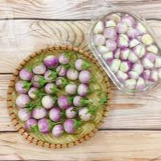 0.5gram HẠT GIỐNG CÀ PHÁO TÍM