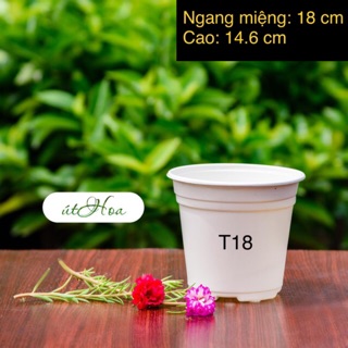 [ Sỉ từ 20 cái] Chậu nhựa trắng T18 trắng sữa