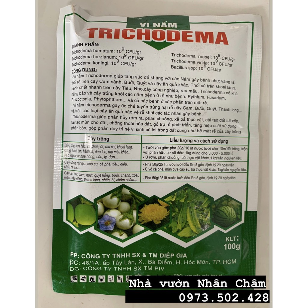 Chế phẩm men vi sinh nấm Trichodema loại 100g