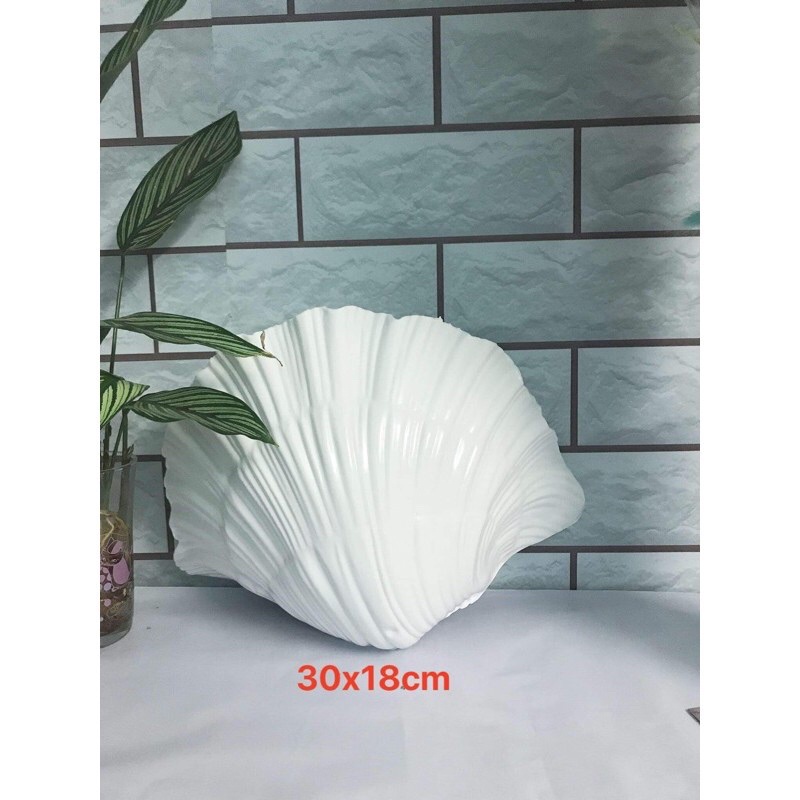 Chậu cây ốp tường hình vỏ sò trắng 30cmx18cm siêu đẹp