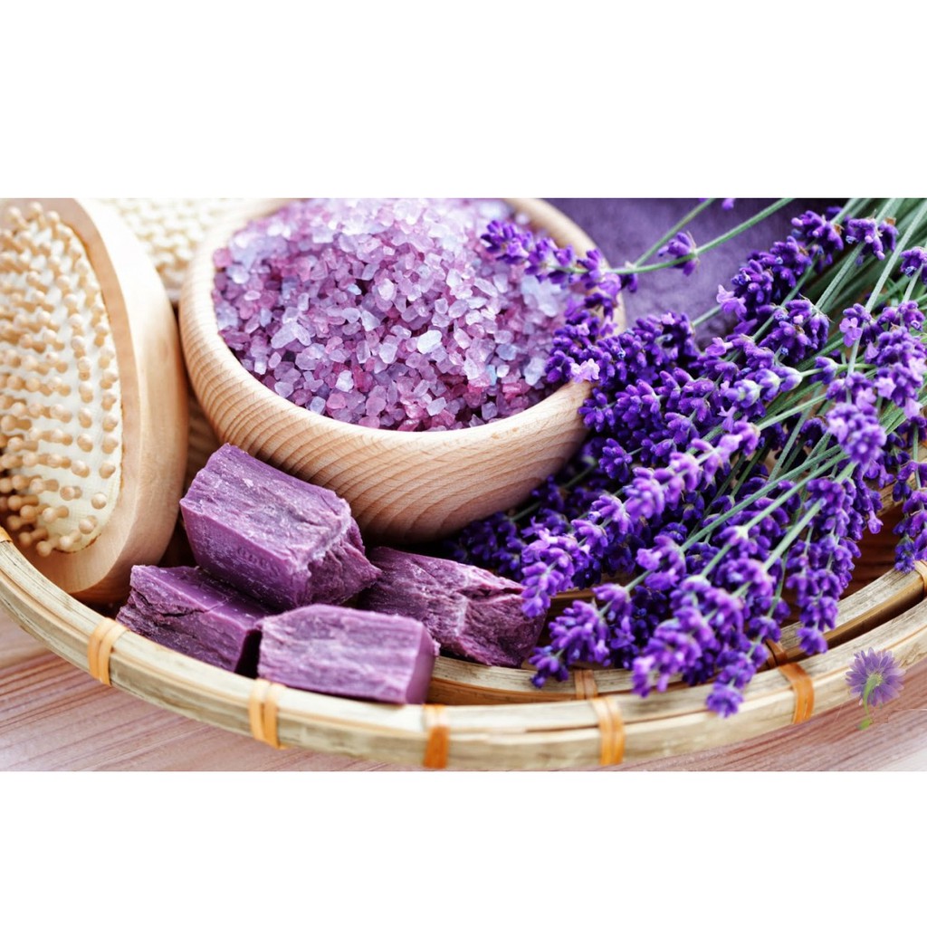 Tinh dầu oải hương (lavender) Pháp chai 50ml Mộc Mây