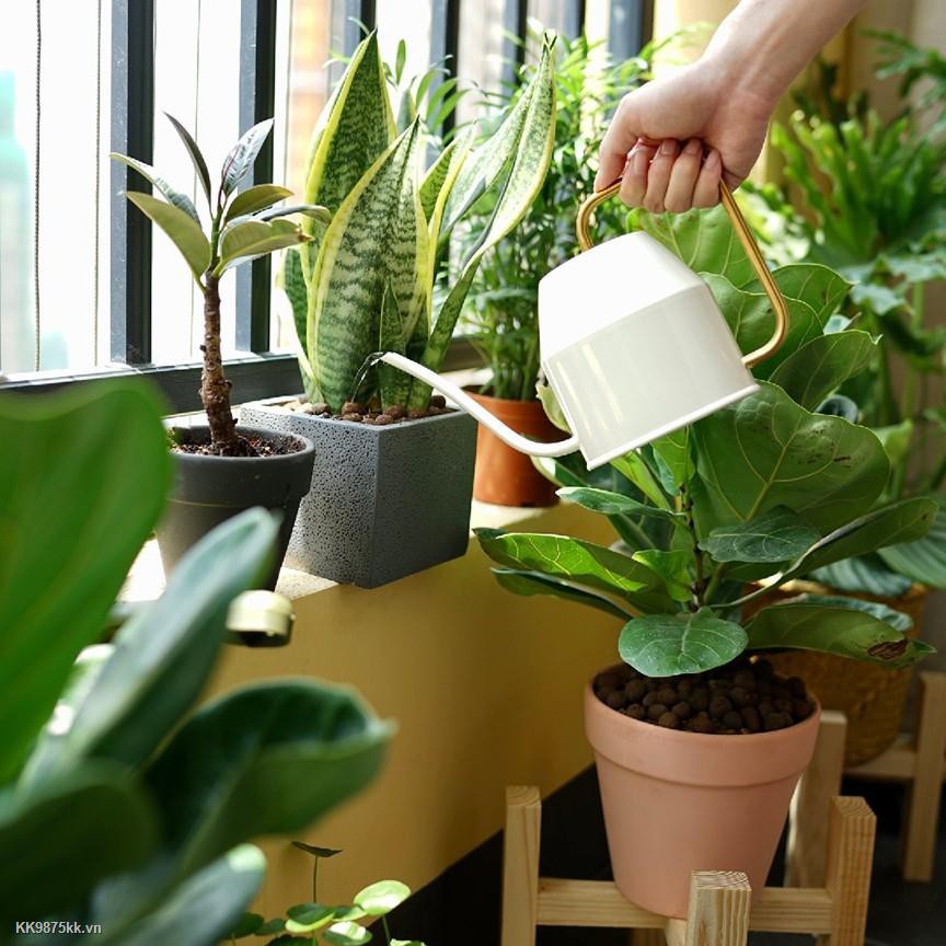 Ikea Bình Tưới Nước Nhỏ Gọn Có Vòi Dài Tiện Dụng Cho Sân Vườn
