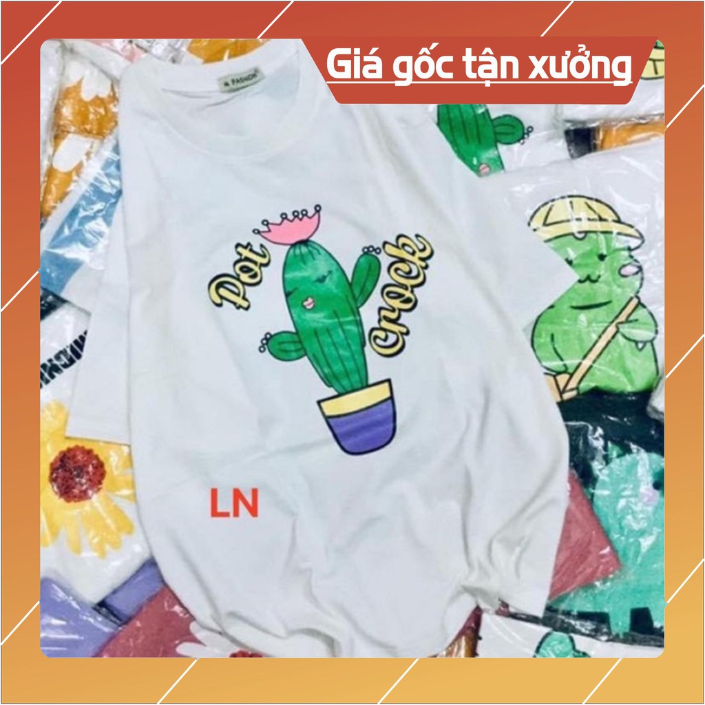 Áo sương rồng POT LN12