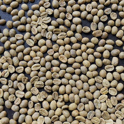 Cà phê Espresso Rwanda Lake Kivu G1 - Cà phê hạt rang xay MONO Coffee Roaster | BigBuy360 - bigbuy360.vn