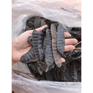 Bồ kết sao thơm nguyên quả