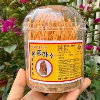 Hoa Đông Trùng Hạ Thảo Hàn Quốc Dạng Khô Cao Cấp