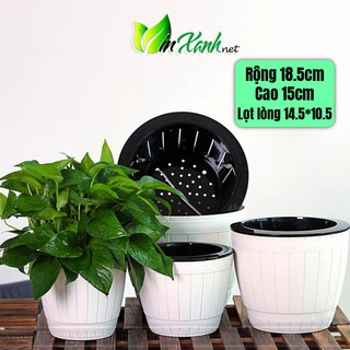Chậu cây tự dưỡng thông minh nhựa cao cấp 2 lớp rộng 18.5cm 7-30 ngày không cần tưới nước