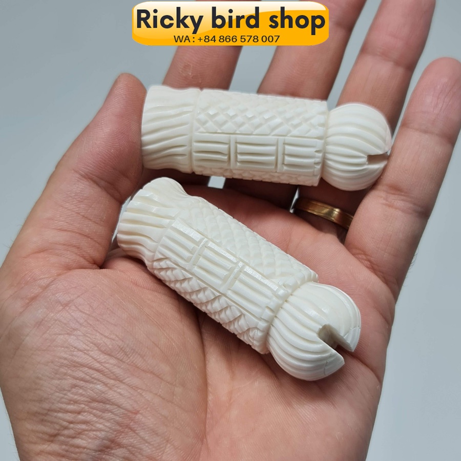 Đầu cầu Triện cho lồng mi, khướu