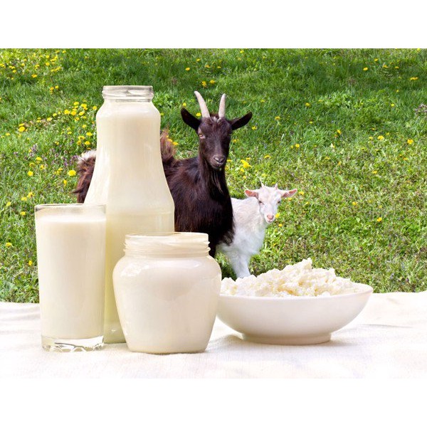 Sữa Dê Cao Cấp Viogoat 900g cho bé đủ số