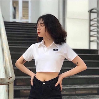 Áo croptop tay ngắn có cổ ôm body,áo ôm body ngắn tay, Croptop Nữ cổ bẻ ngắn tay 100% cotton kiểu dáng Hàn Quốc.