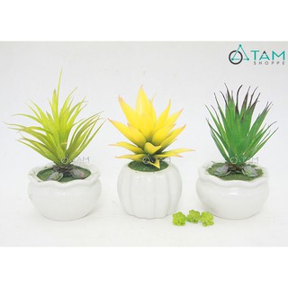 Chậu sen đá giả để bàn số 86 TAN