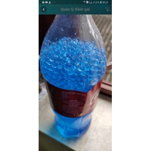 Hạt nở cứng 7mm trồng cây, đồ chơi - gói 10.000 hạt