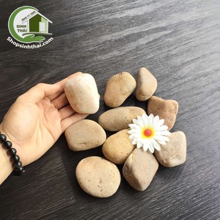 1 kg đá sỏi lớn màu nâu trang trí bể cá sân vườn, chặn giấy