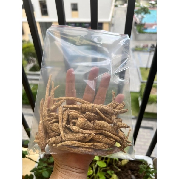 Sâm củ Hoa Kỳ 🇺🇸🇺🇸