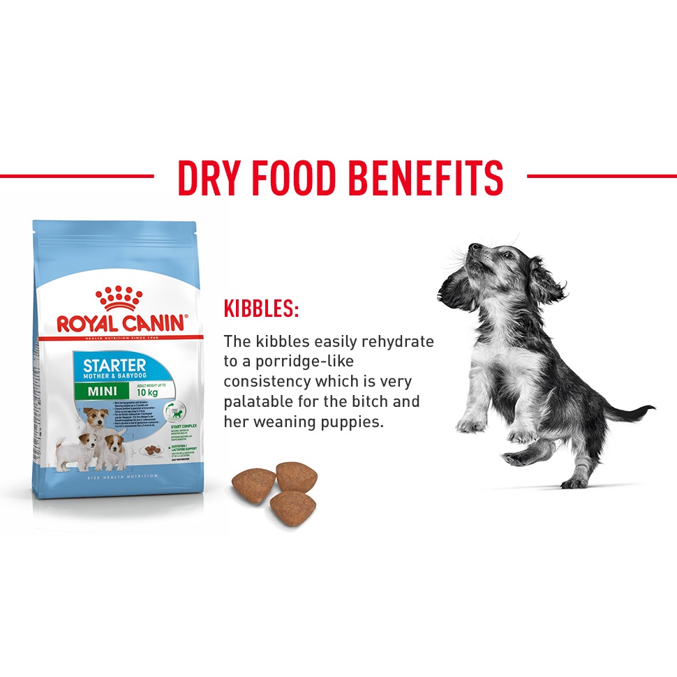 [1kg] Hạt Royal Canin Mini Starter Mother &amp; Babydog Cho Chó Mẹ &amp; Chó Con Giống Nhỏ