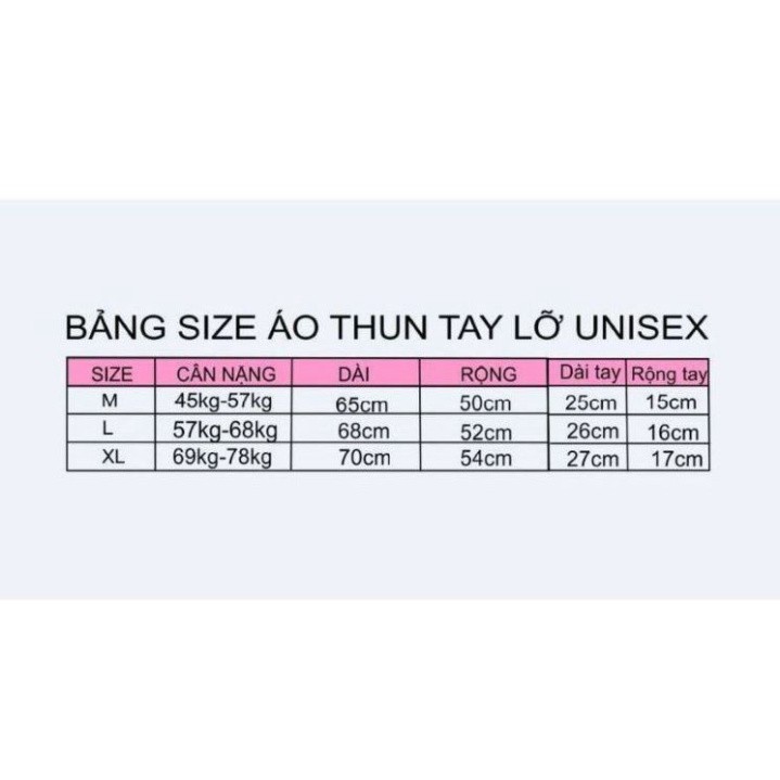 ÁO THUN, ÁO PHÔNG TAY LỠ UNISEX FORM RỘNG OVERSIZE QUEEN BEE NELLY ANIME M807 DH SHOP