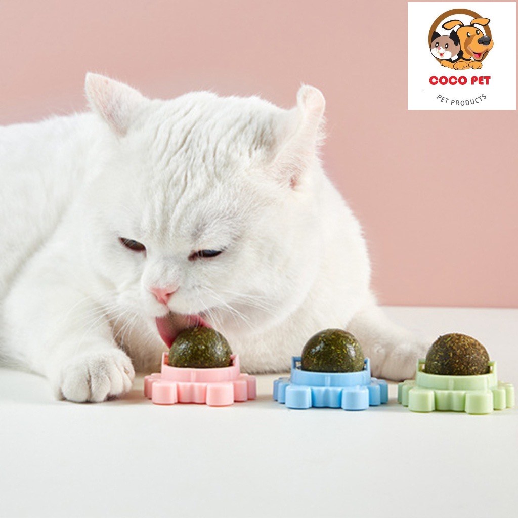 Catnip - Cỏ Bạc Hà Cho Mèo Hình CUA Dạng Xoay Gắn Tường Có Nắp Đậy Giúp Mèo Thư Giãn Tiêu Búi Lông