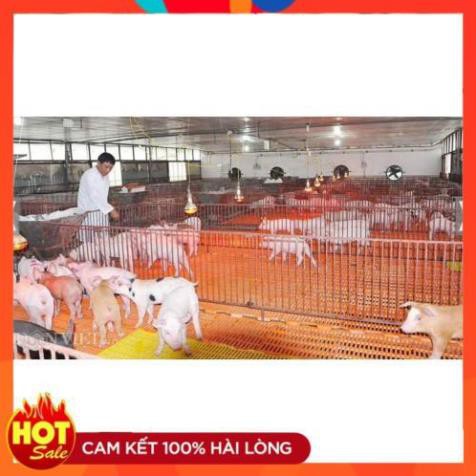 Tấm lót chuồng nhựa dành cho thú cưng - CutePets phụ kiện chó mèo pet shop Hà Nội.