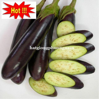 Hạt giống Cà Tím Dài F1 1gram
