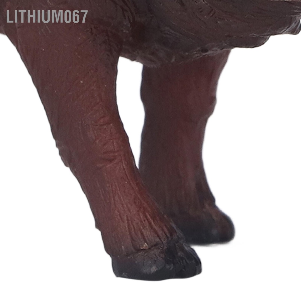 Lithium067 Bức tượng nhỏ Lợn Hoang Ngoại hình giống thật Trẻ em Giáo dục Kích thích Trí tưởng Đồ chơi rừng cho trẻ